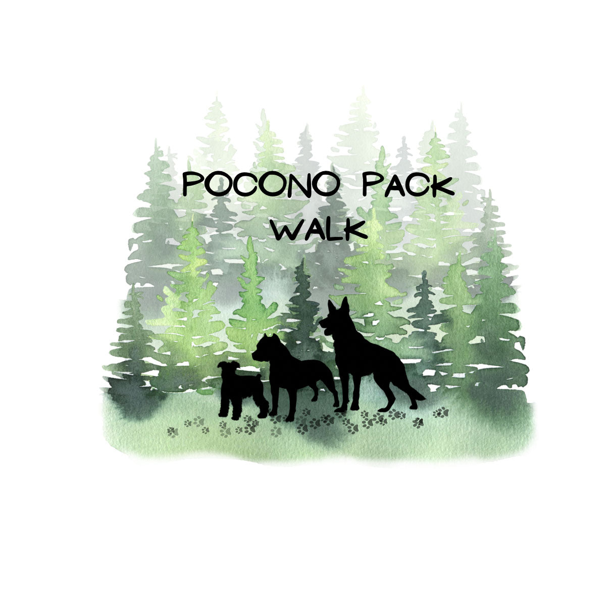 Pocono Pack Walk