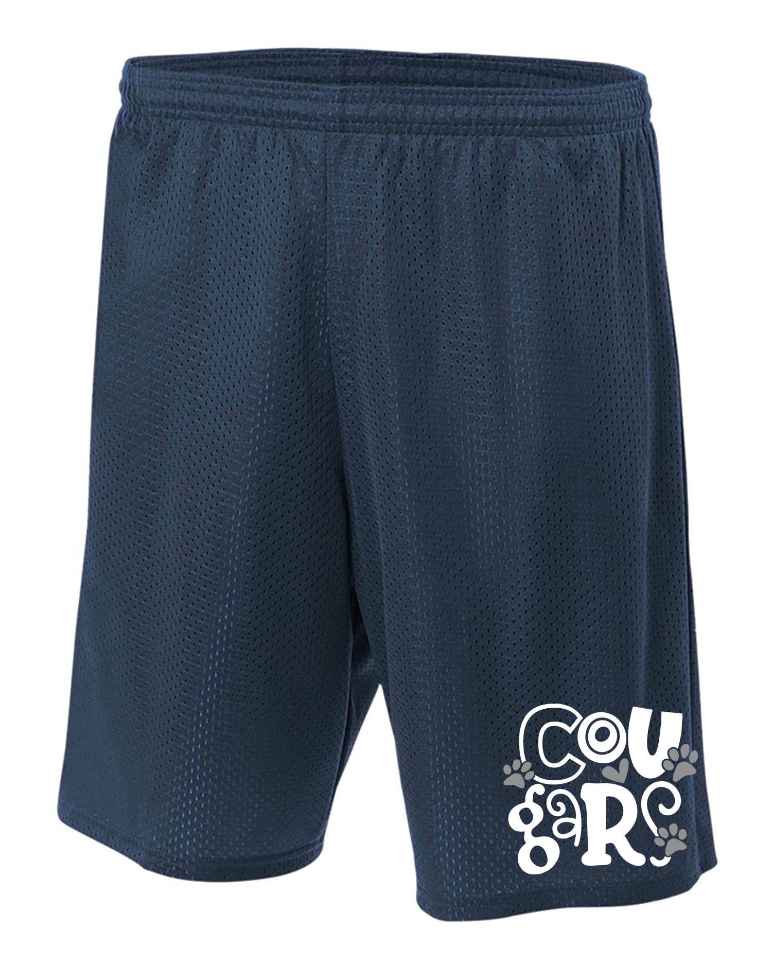 Stillwater School Design 18 Mesh Shorts