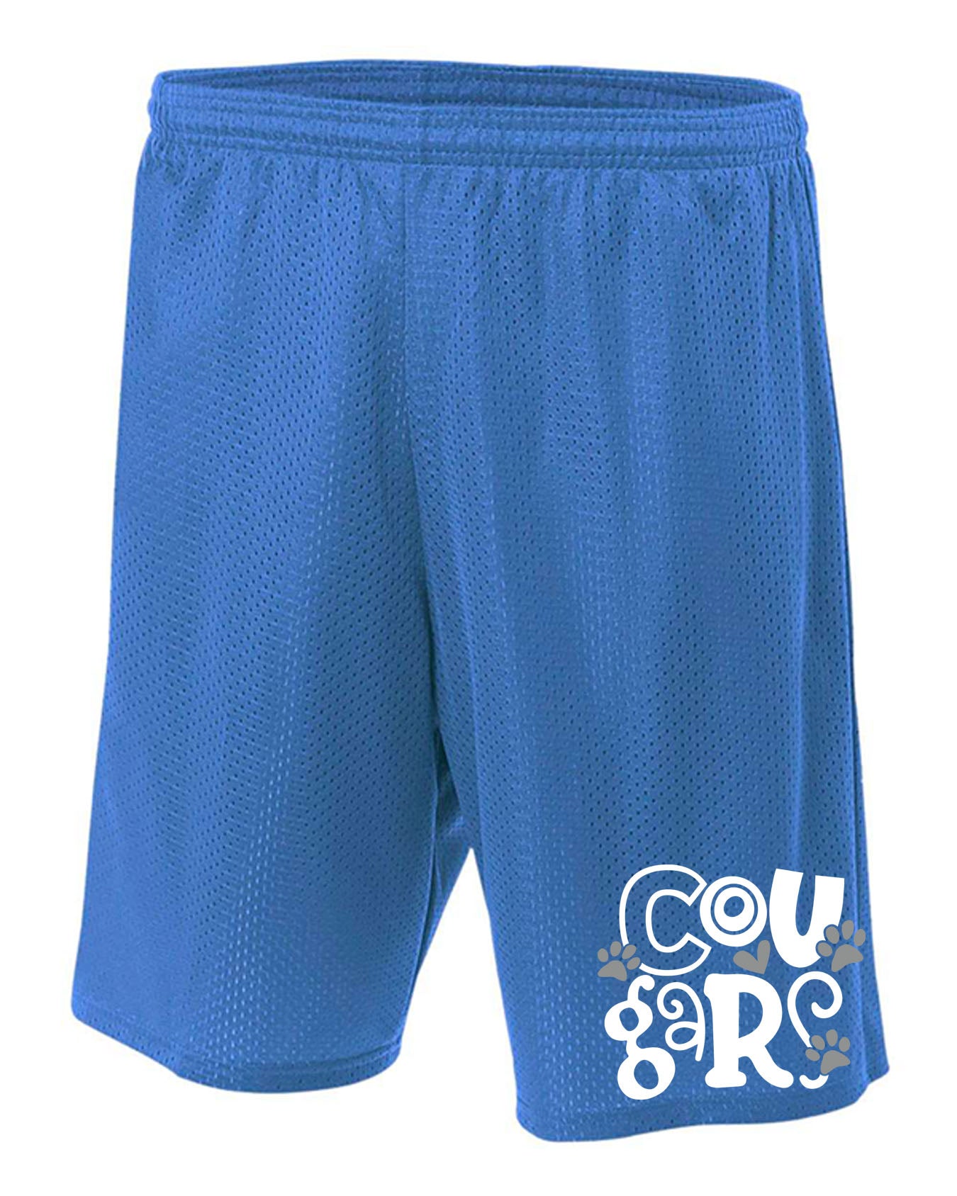 Stillwater School Design 18 Mesh Shorts
