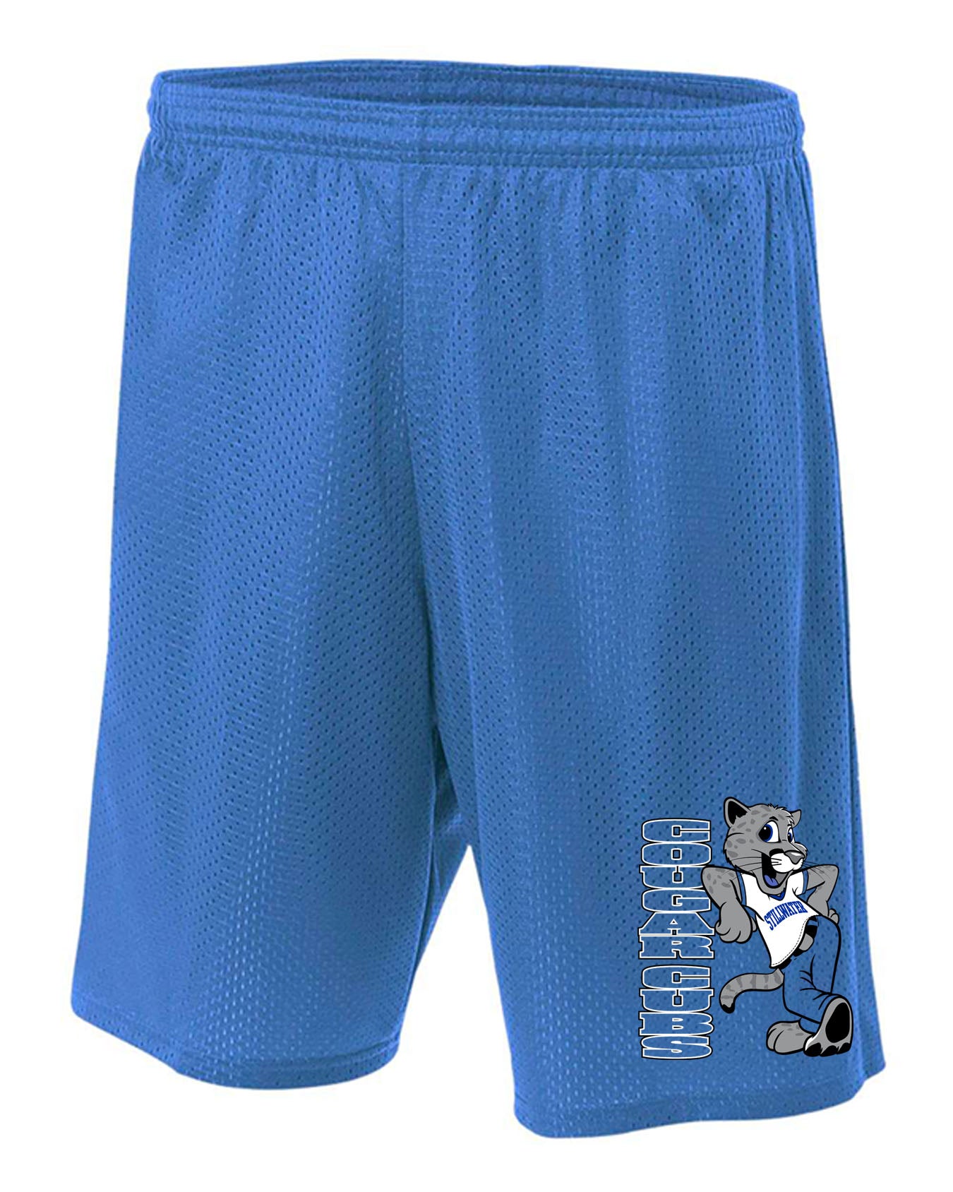 Stillwater Design 21 Mesh Shorts