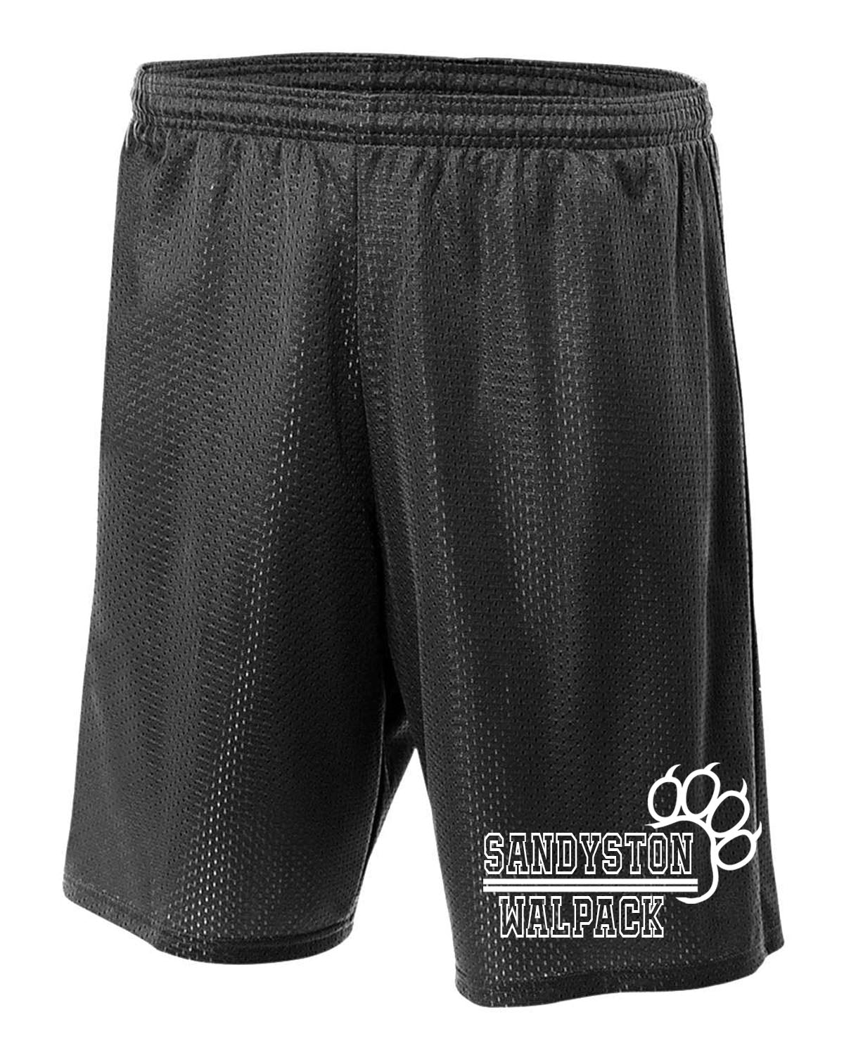 Sandyston Walpack Design 16 Mesh Shorts