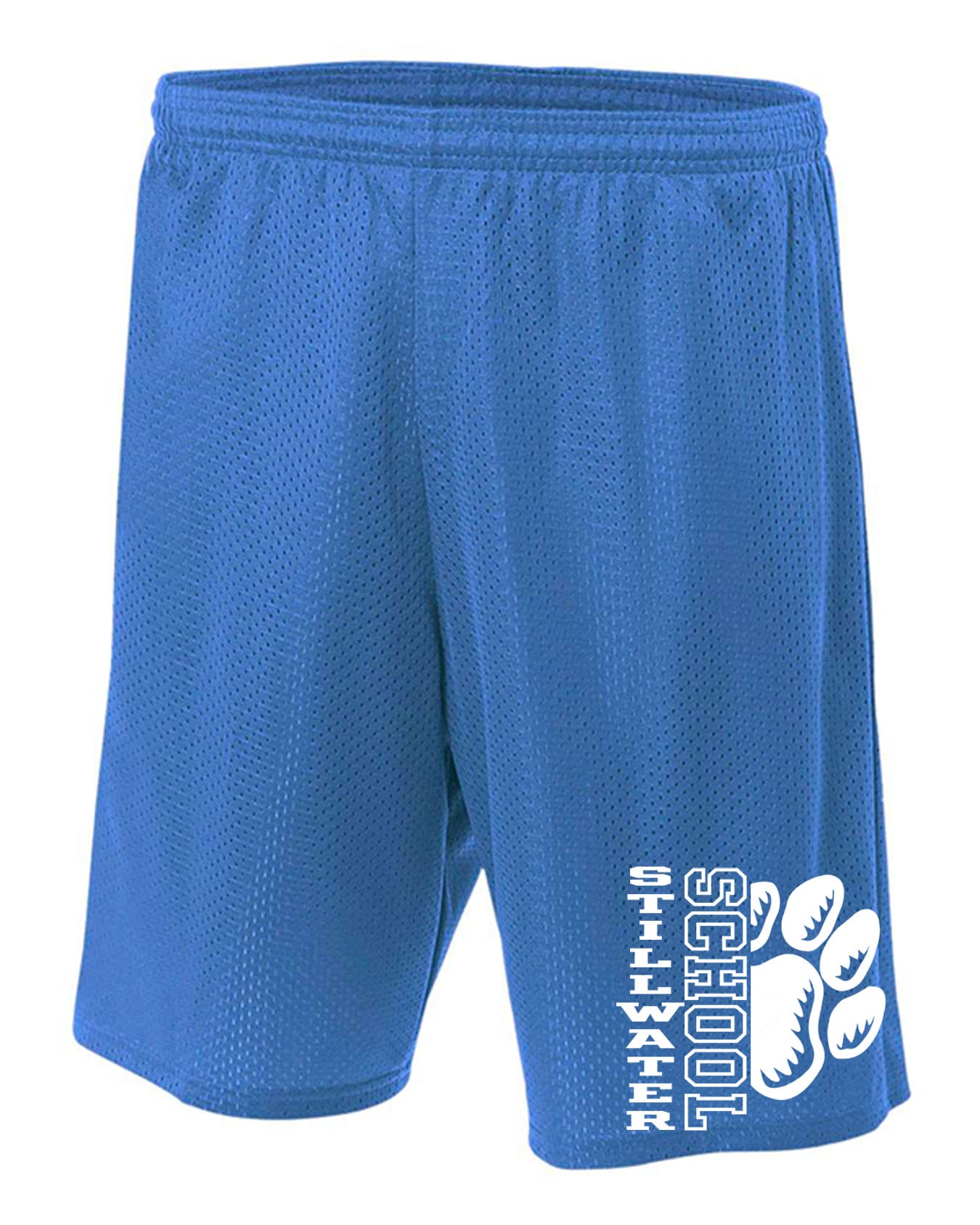 Stillwater School Design 17 Mesh Shorts