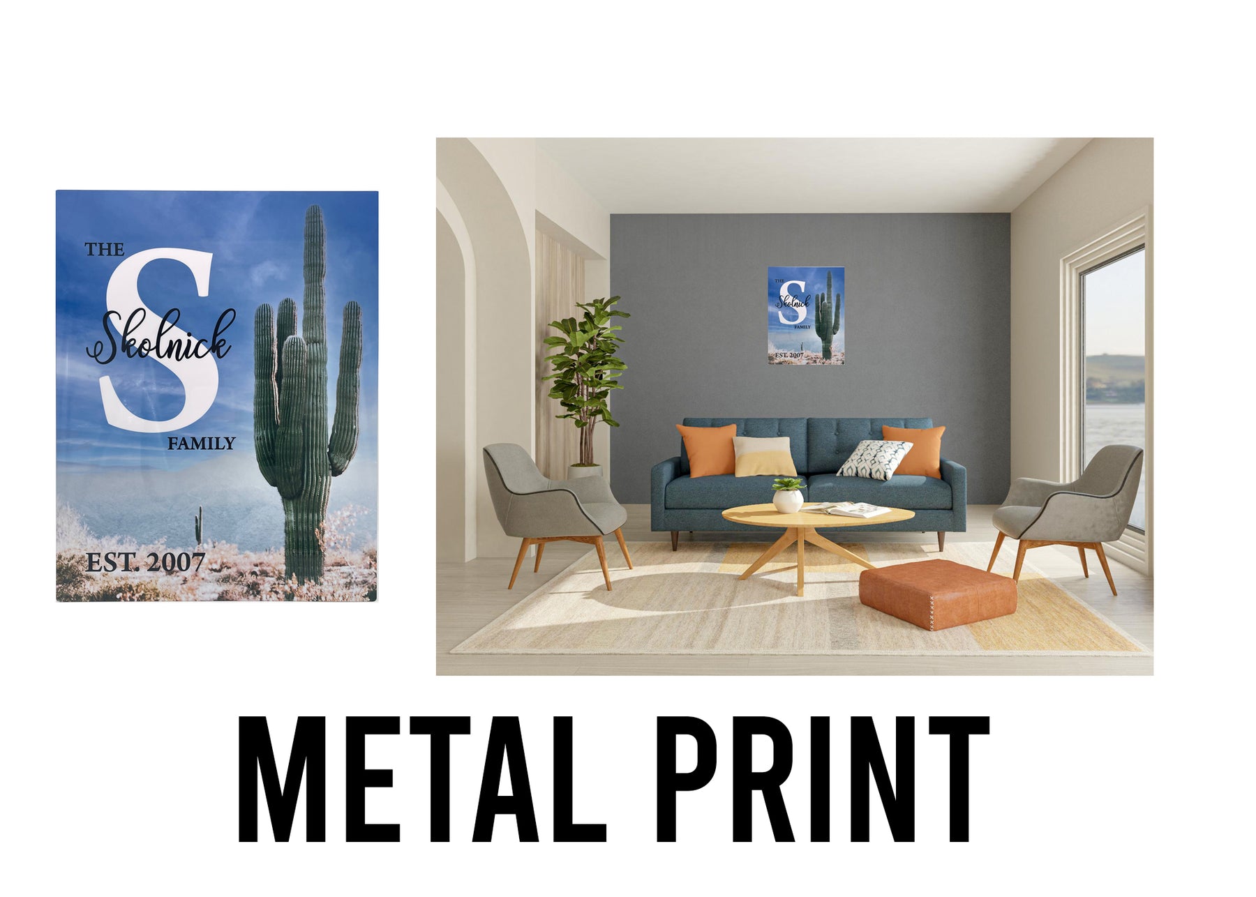 Family Cactus Metal Print