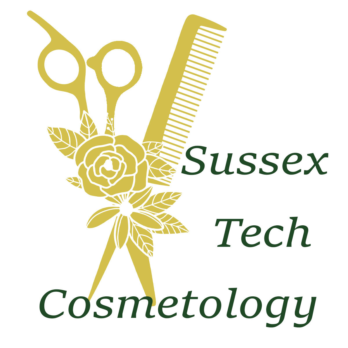 1 Sussex Tech Cosmetology
