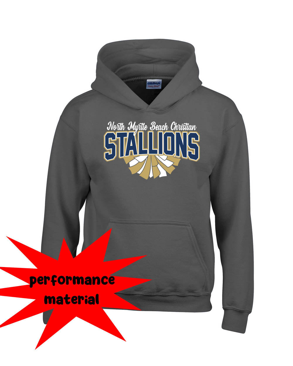 NMB Christian School Cheer Performance Hooded Sweatshirt Design 1