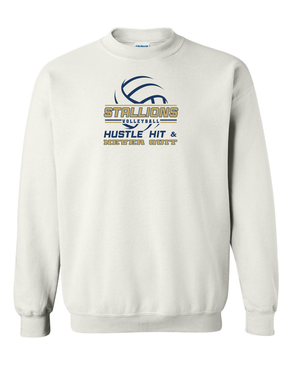 NMB Christian School Volleyball Non Hooded Sweatshirt Design 1