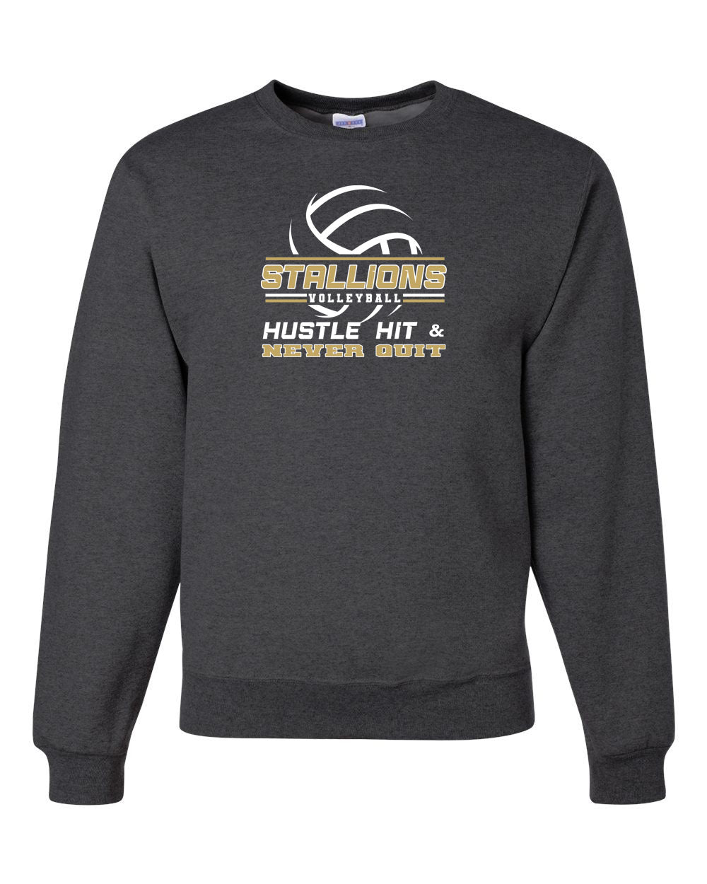 NMB Christian School Volleyball Non Hooded Sweatshirt Design 1
