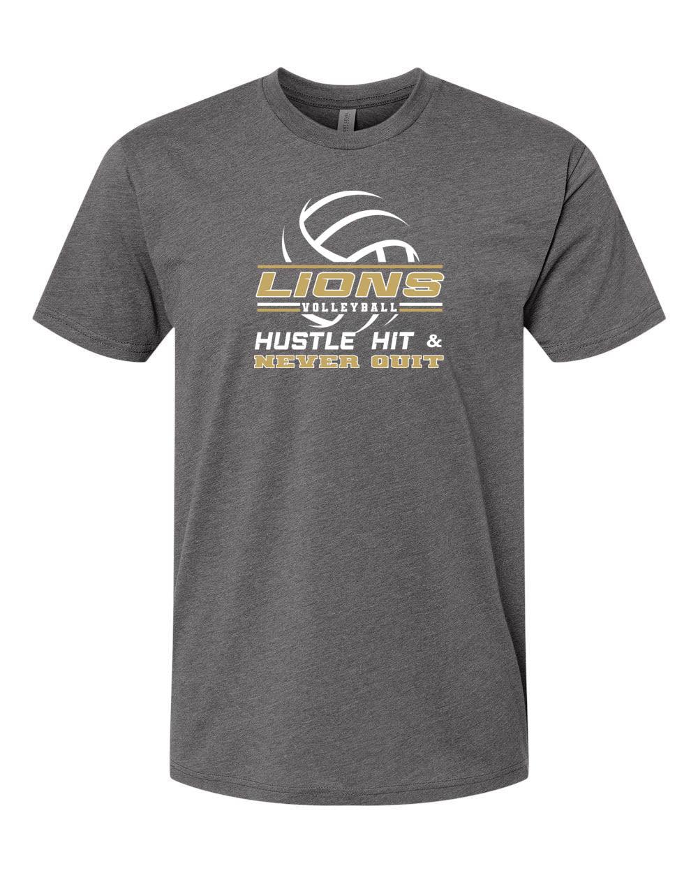 Lions Volleyball T-Shirt Design 1