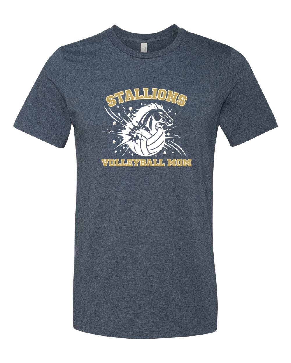 NMB Christian School Volleyball T-Shirt Design 2