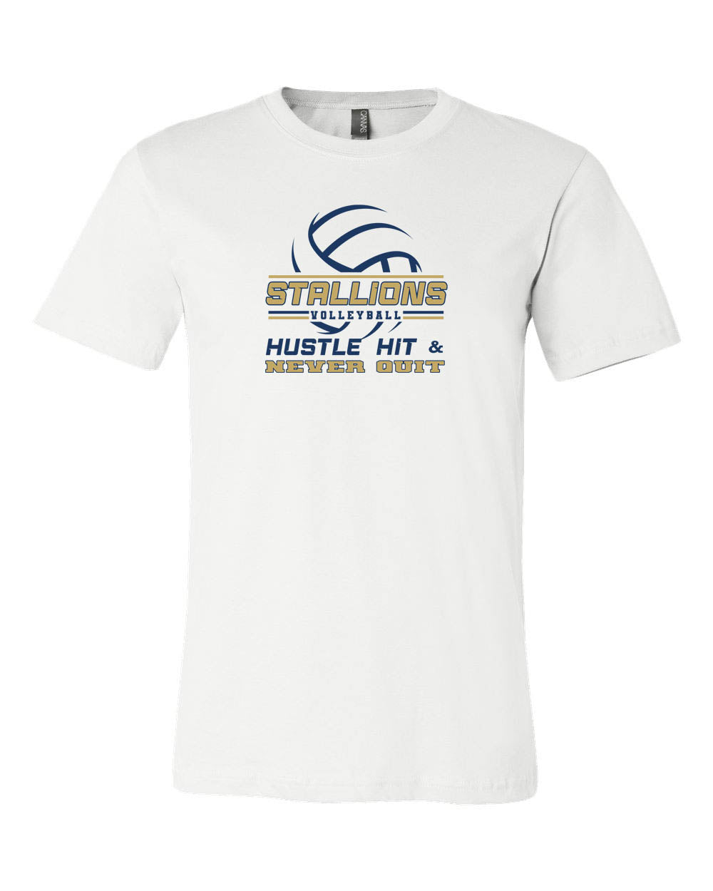 NMB Christian School Volleyball T-Shirt Design 1