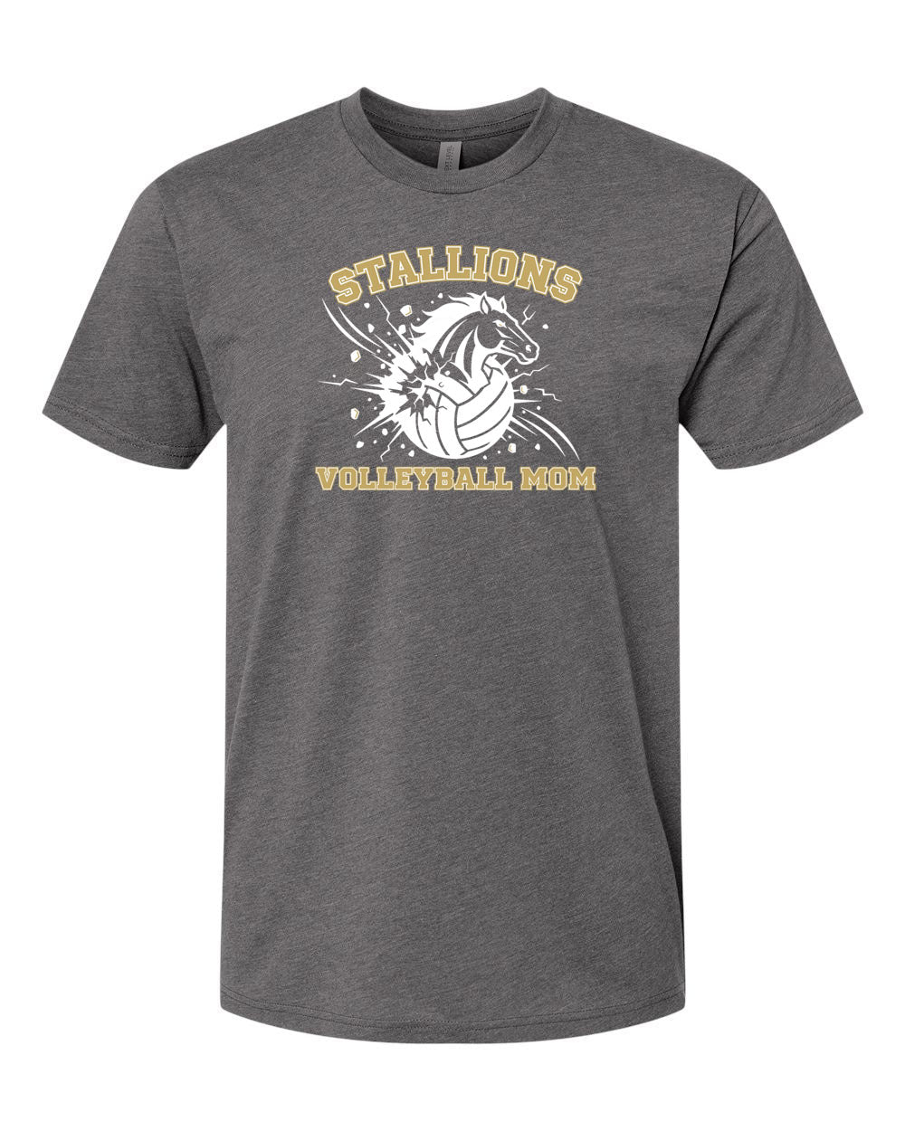 NMB Christian School Volleyball T-Shirt Design 2