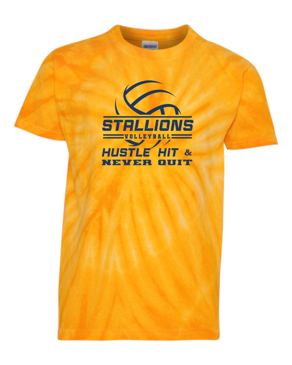 NMB Christian Volleyball School Design 1 Tie Dye t-shirt