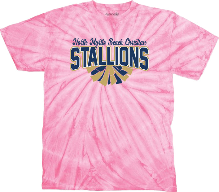 NMB Christian Cheer School Design 1 Tie Dye t-shirt