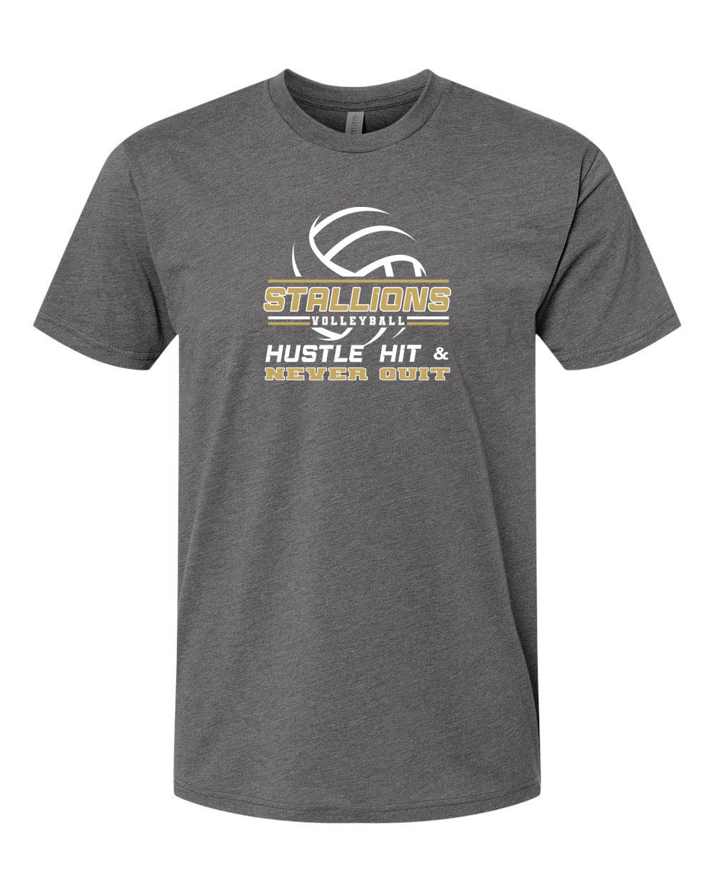 NMB Christian School Volleyball T-Shirt Design 1