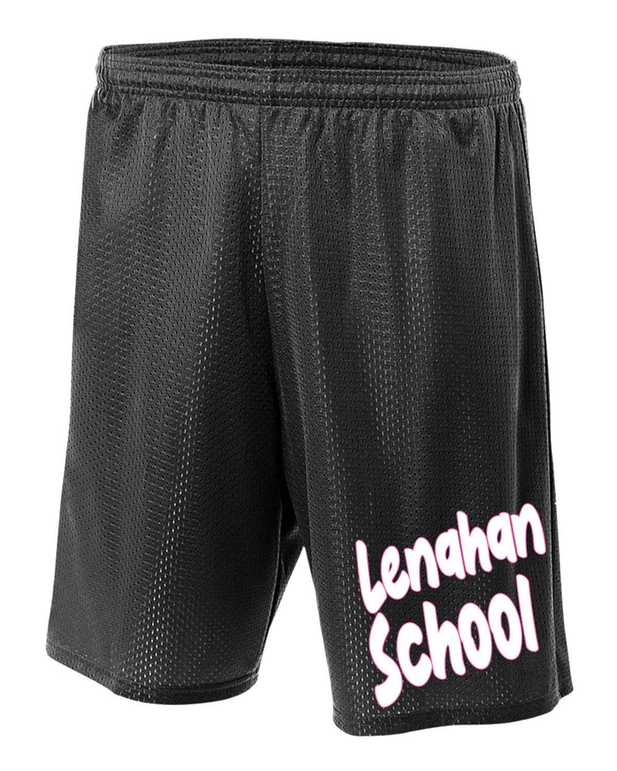 Lenahan Dance Design 5 Mesh Shorts