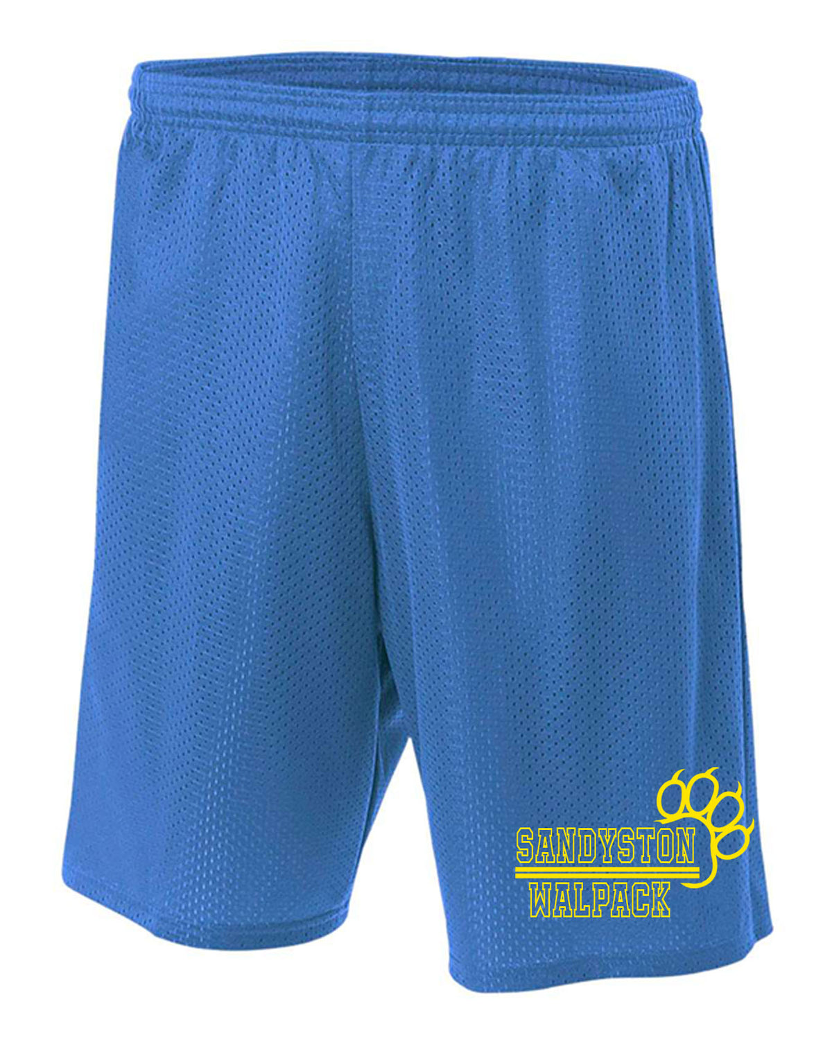 Sandyston Walpack Design 16 Mesh Shorts