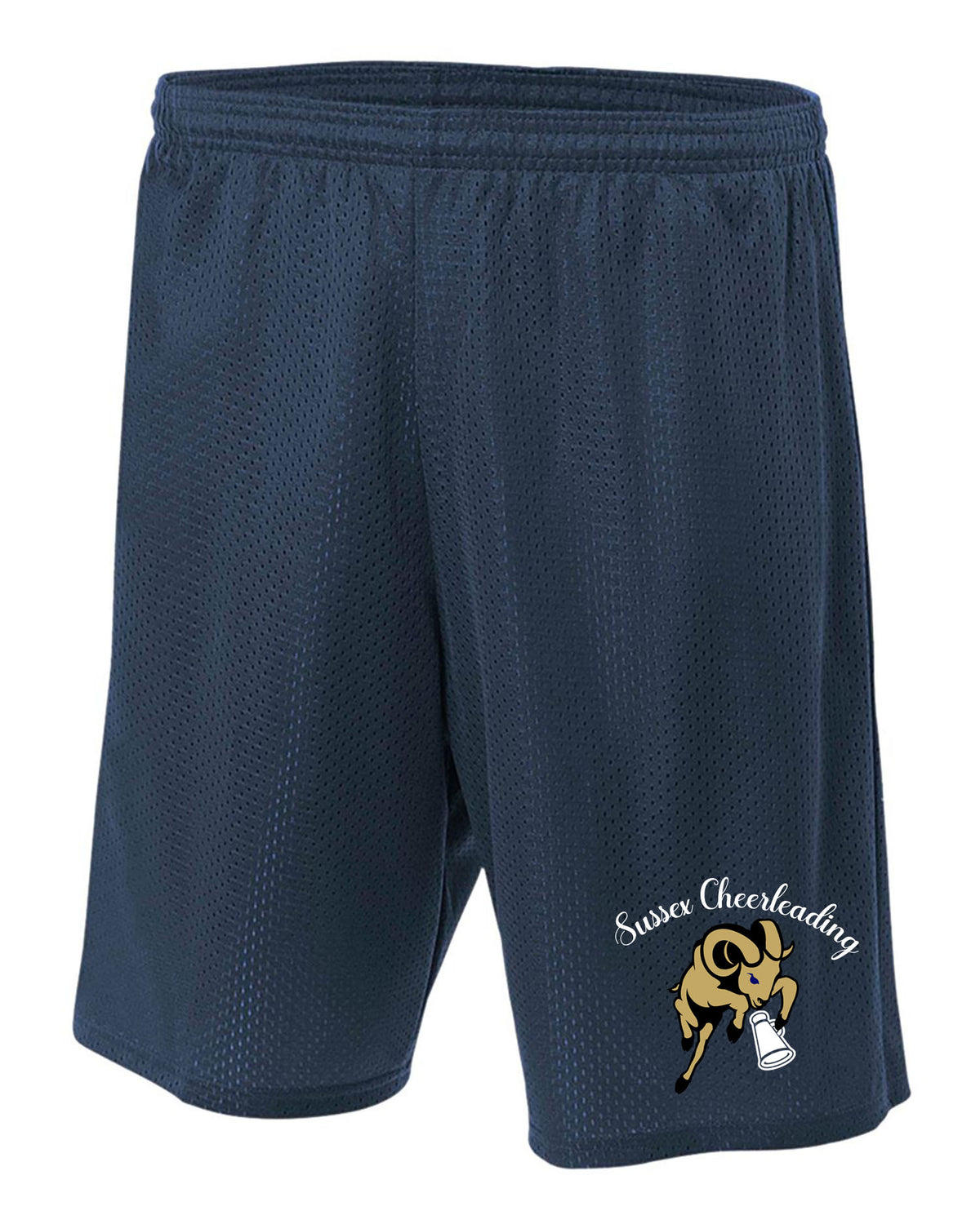 Sussex Middle Cheer Design 3 Mesh Shorts