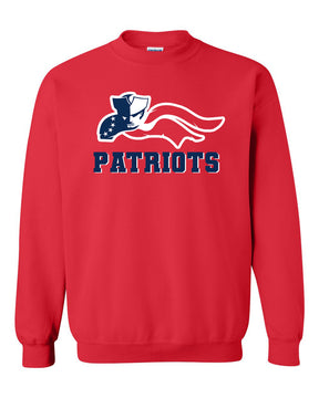 Distressed Patriot Logo non hooded sweatshirt