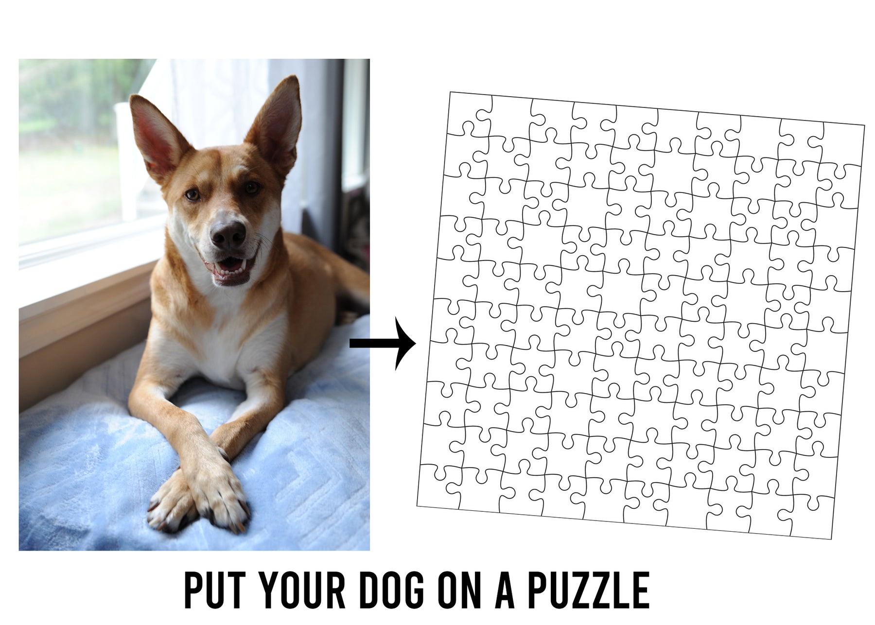 Dog puzzle