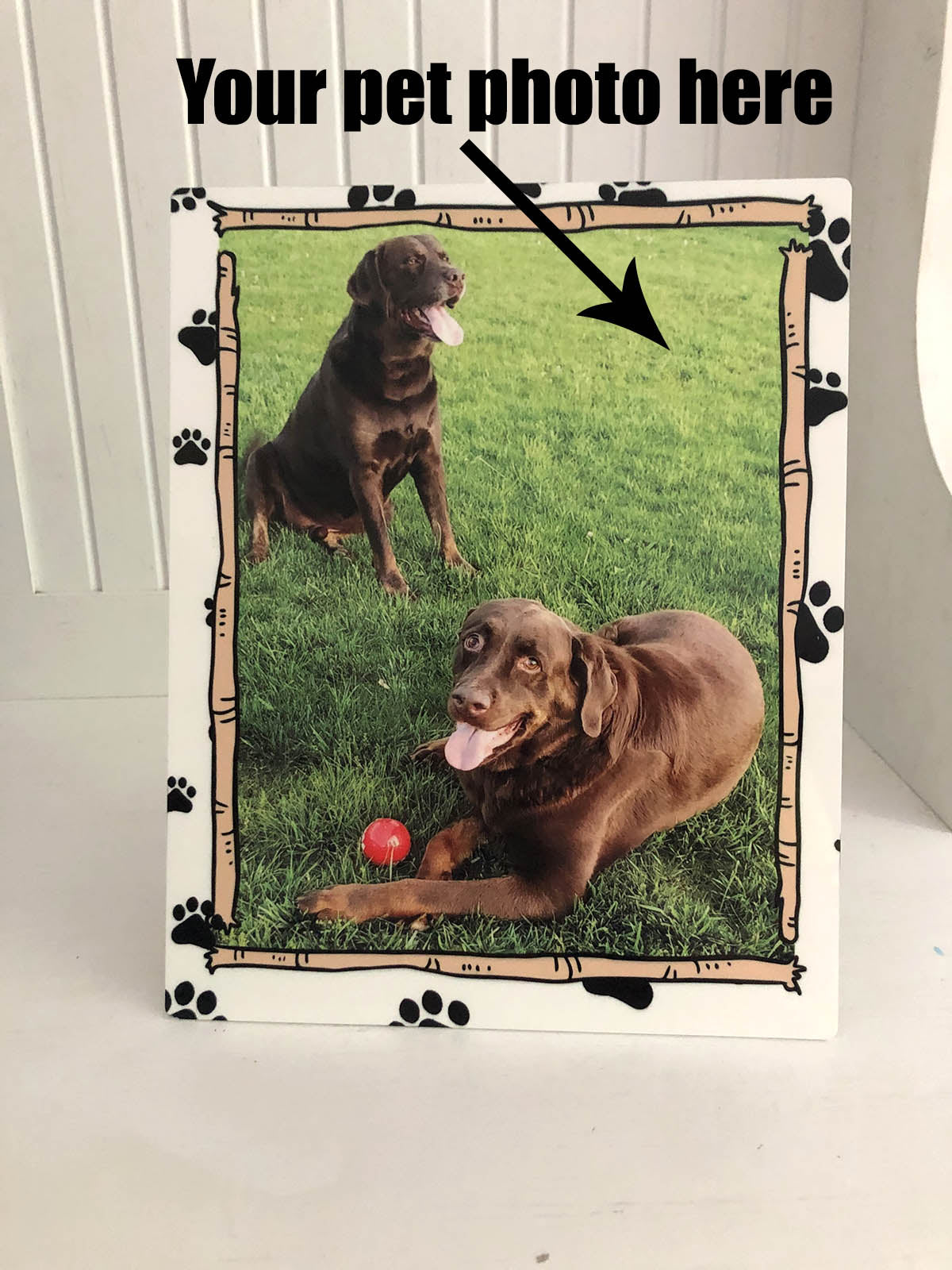 Pet Photo with boarder Metal Print